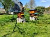 Rucher de Keriner - ruches