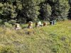Rucher de Keriner - rucher 