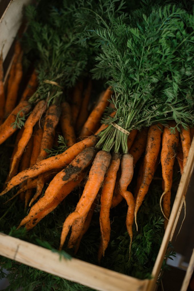 Tourlourette Terre de Légumes - carottes