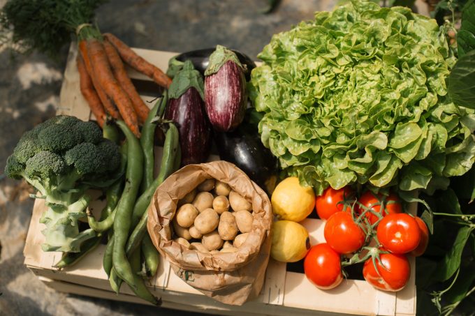 Tourlourette Terre de Légumes