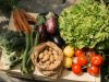 Tourlourette Terre de Légumes