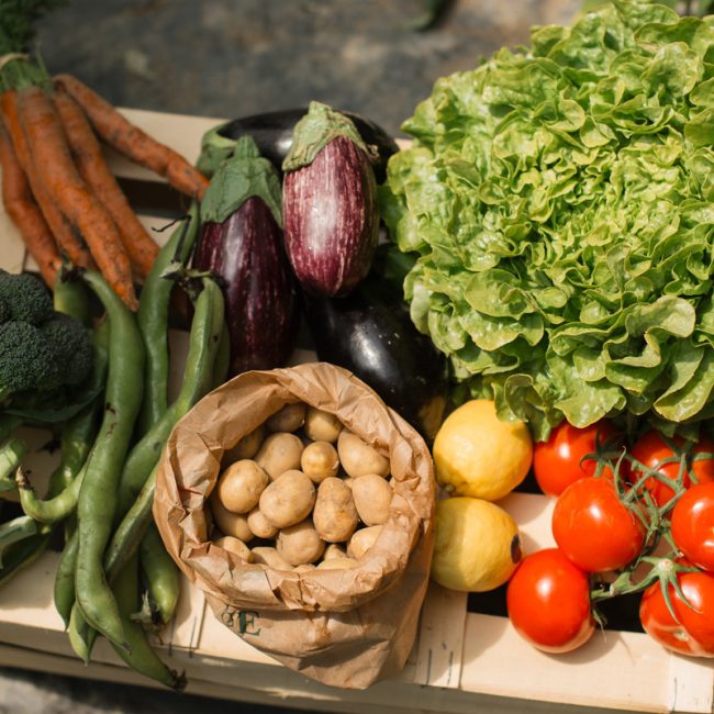 Tourlourette Terre de Légumes