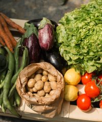 Tourlourette Terre de Légumes