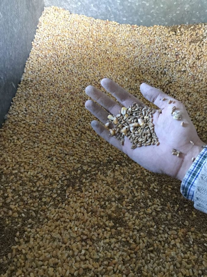 Céréales produites et stockées sur site