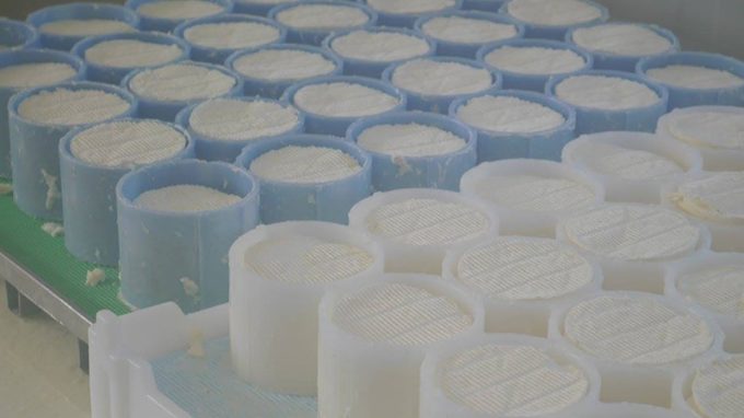 Affinage du fromage