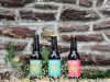 Micro-Brasserie Akène - nos bières