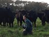 Angus de Loctudy - Angus