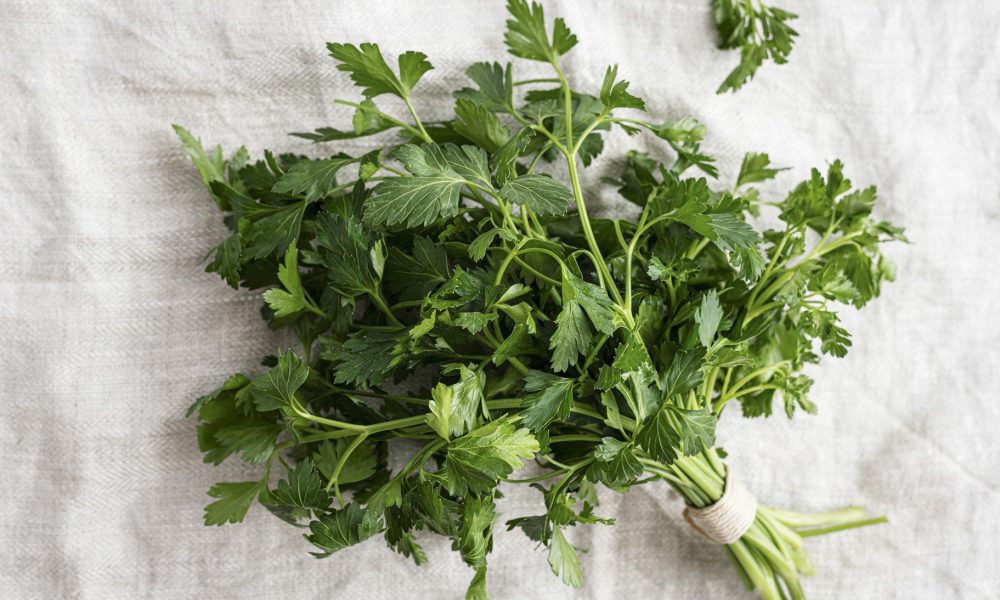 L’armoise : reconnaître, cuisiner et cultiver cette plante sauvage