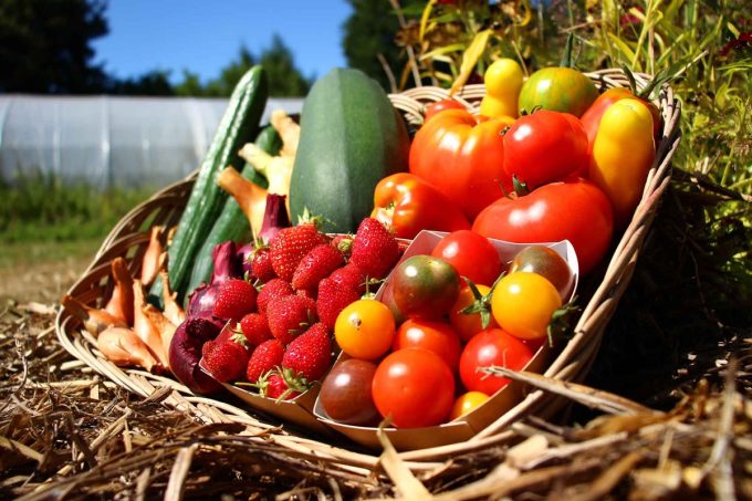 Joli parnier de légumes