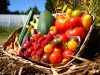 Joli parnier de légumes