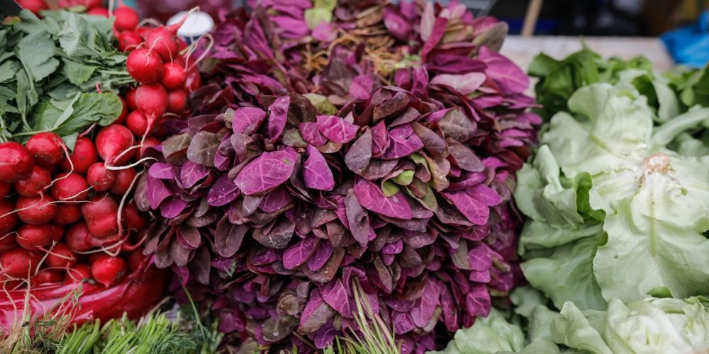 Arroche : Goût, Bienfaits, Origine, Saison et idées de Recettes…