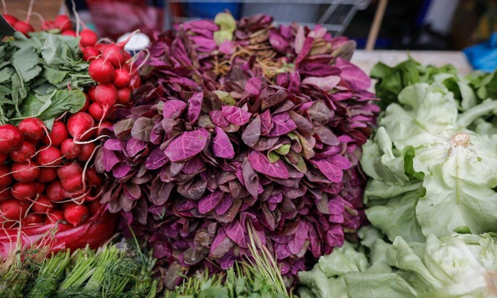 Arroche : Goût, Bienfaits, Origine, Saison et idées de Recettes…