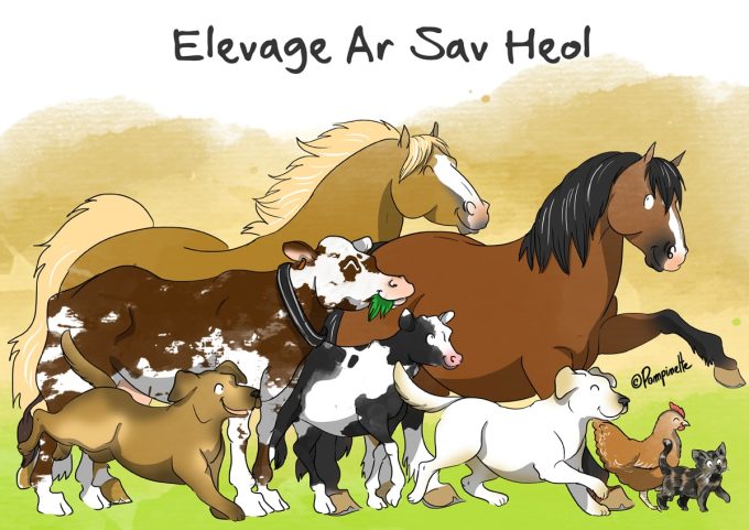 Élevage Ar Sav Heol - logo