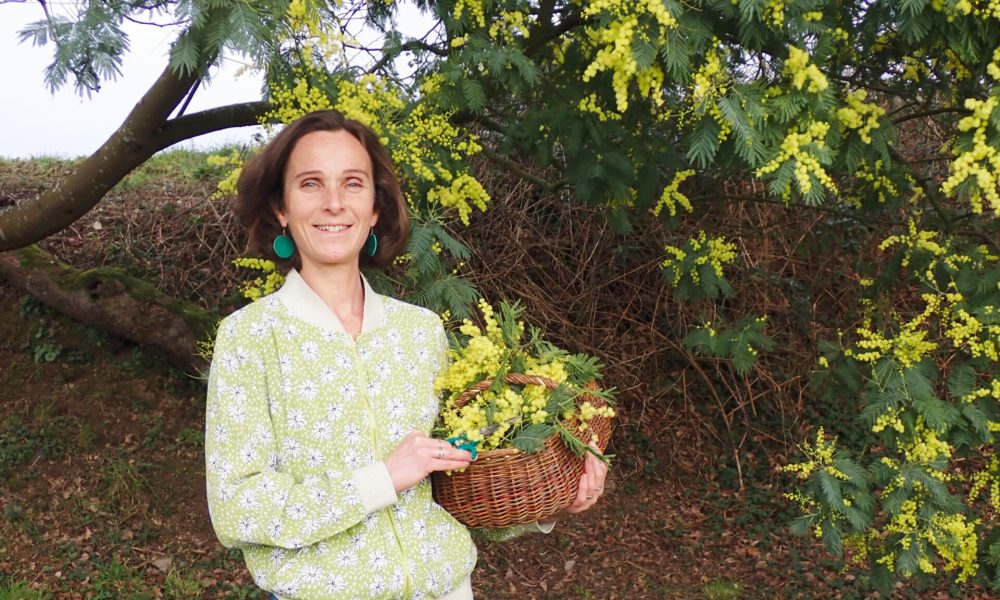 Des Balades Botaniques en Finistère : L&rsquo;Atelier des Bonnes Herbes