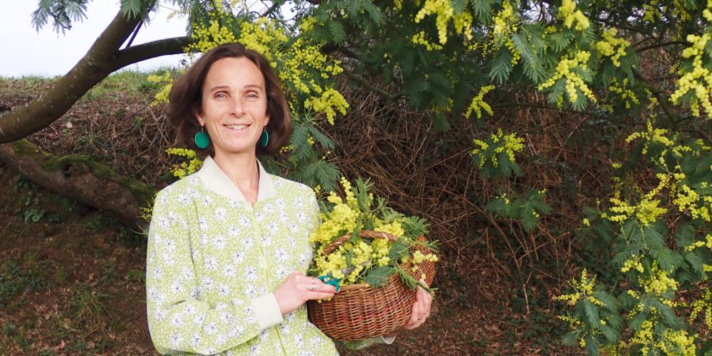 Des Balades Botaniques en Finistère : L&rsquo;Atelier des Bonnes Herbes