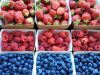 Les Ateliers de Kerolo - petits fruits rouges et bleus