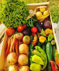 Au fil des saisons
