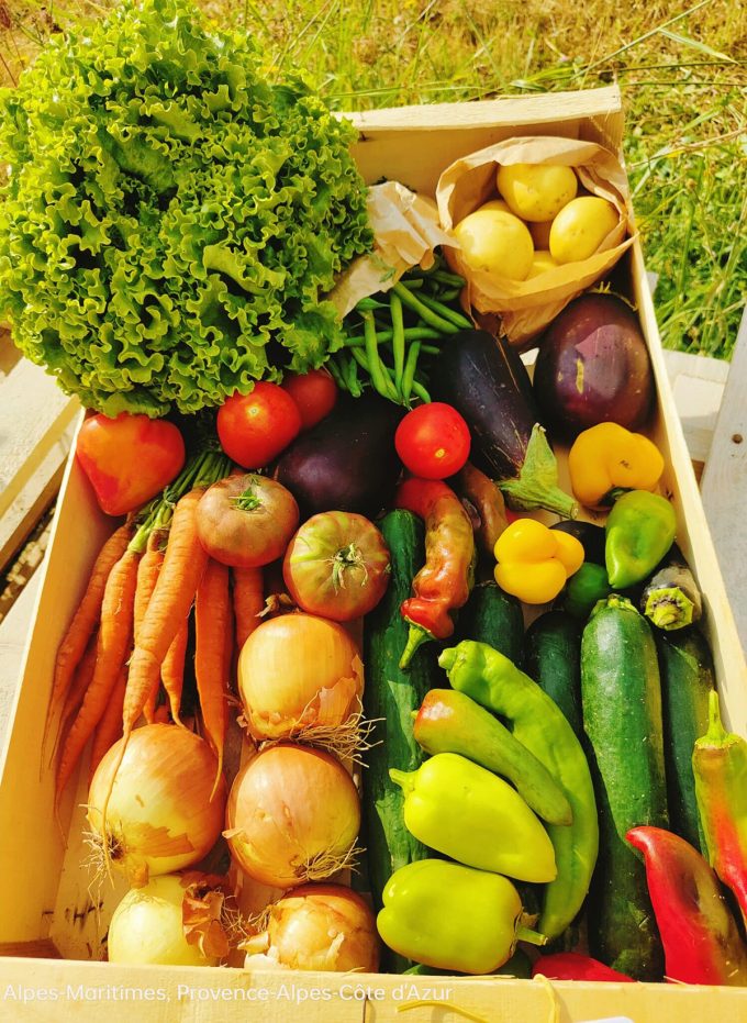 Au fil des saisons