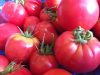 Au Pré de chez Vous - tomates