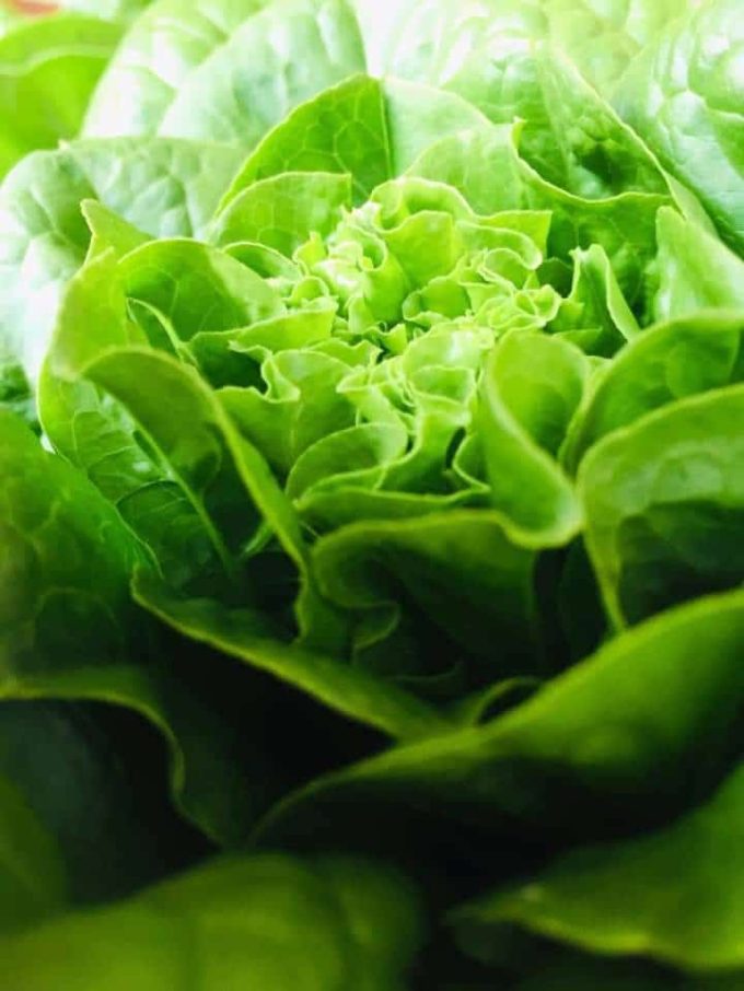 Au Pré de chez Vous - salade