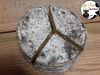 Au Pré de la Terre - Tomme
