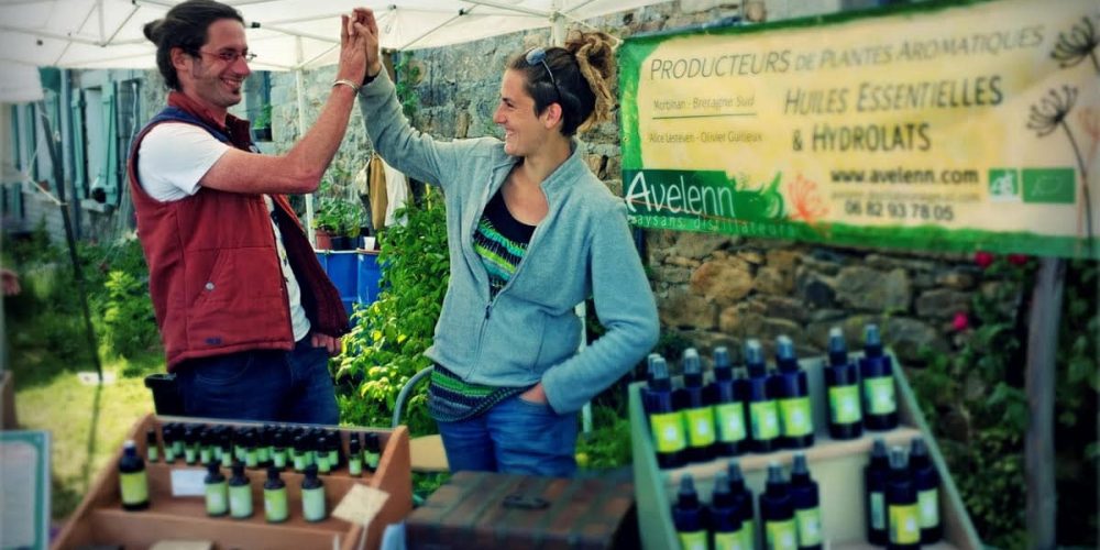Des huiles essentielles produites en Bretagne : Avelenn
