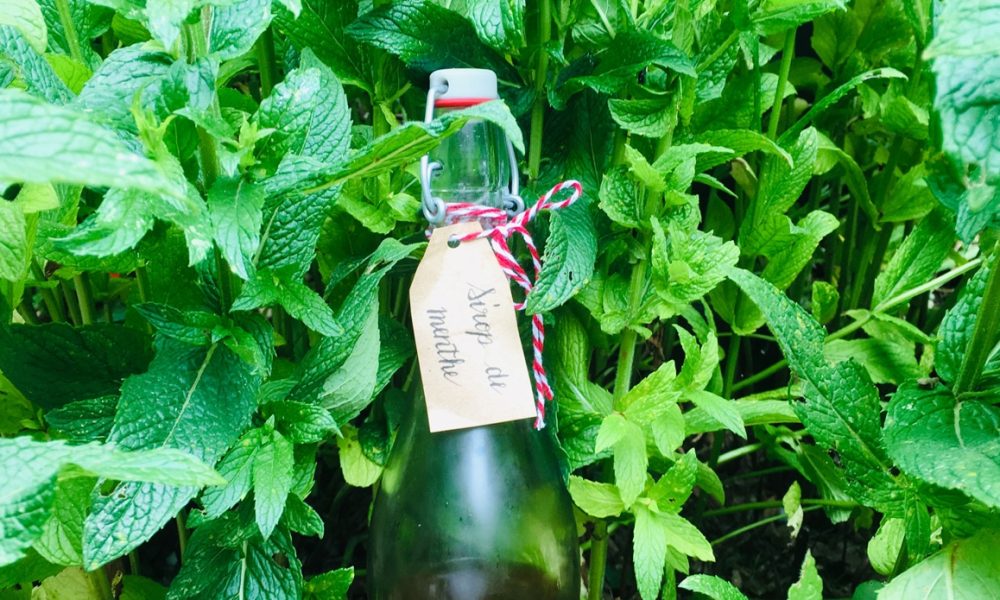 Sirop de menthe maison : recette fraîche, facile et Bio