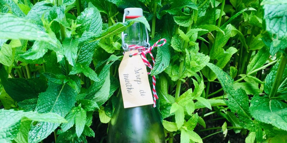 Sirop de menthe maison : recette fraîche, facile et Bio