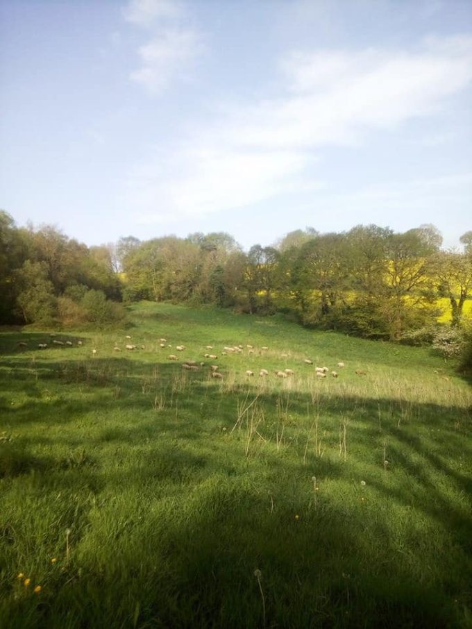 La Ferme de Coët - paysages