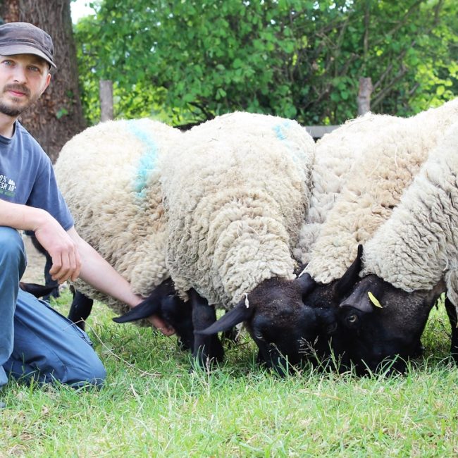 La Bergerie de Coët