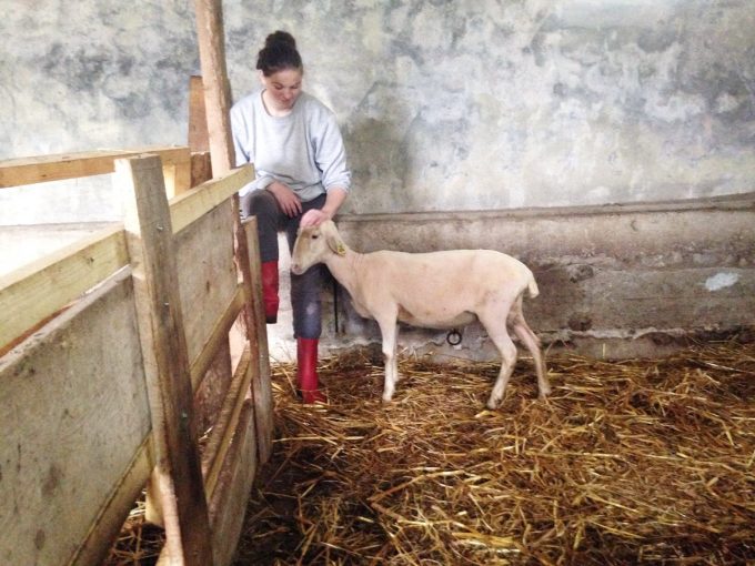 Adeline et une brebis fraichement tondue