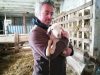 Pascal et un agneau