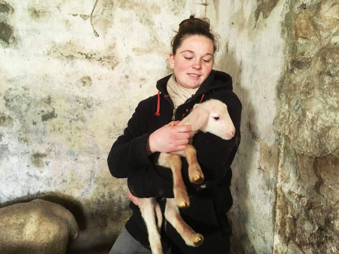 Adeline et un agneau