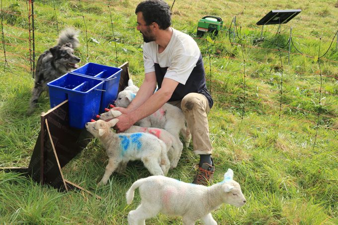 La Bergerie de Kervel