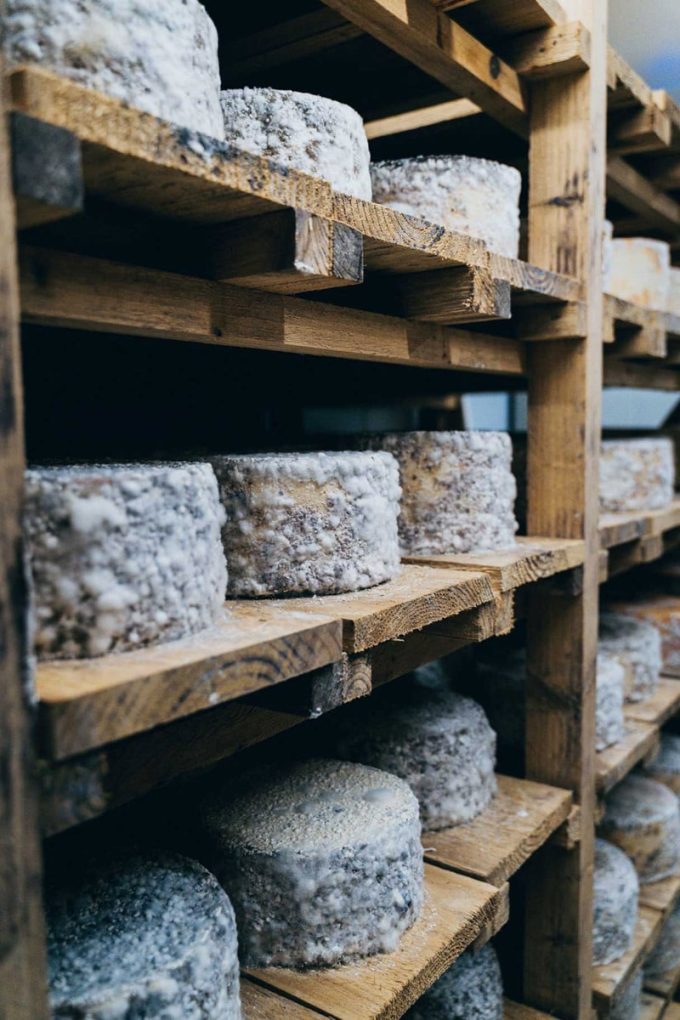 Affinage des Fromages