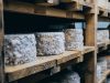 Affinage des Fromages