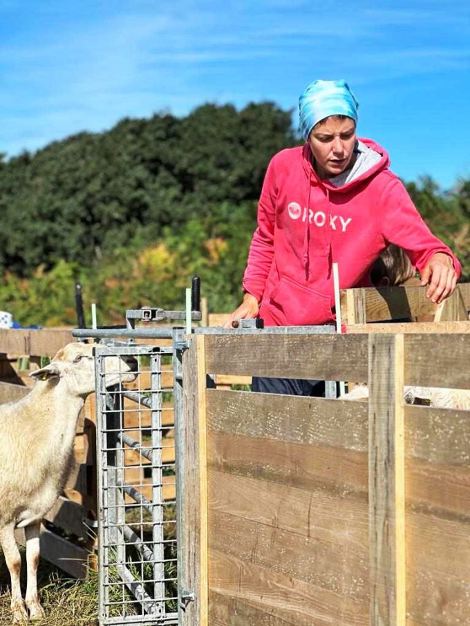 La Bergerie de Manue - Manue