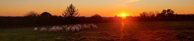 La Bergerie de Manue - coucher de soleil