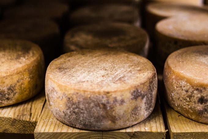 Ferme Penn Krec'h - Tomme de Brebis