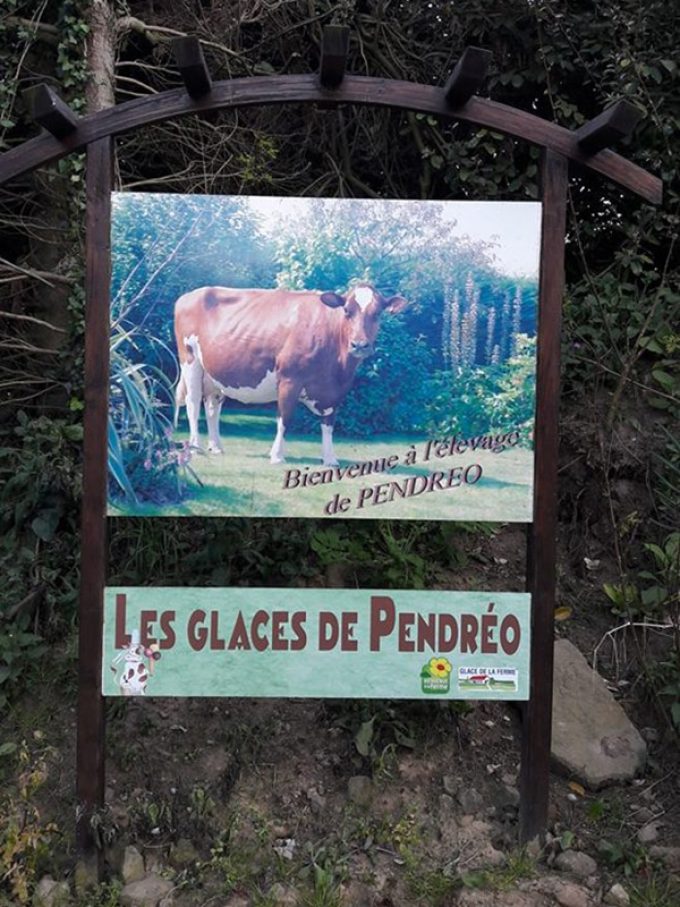 Bienvenue à l'élevage de Pendréo