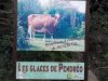 Bienvenue à l'élevage de Pendréo
