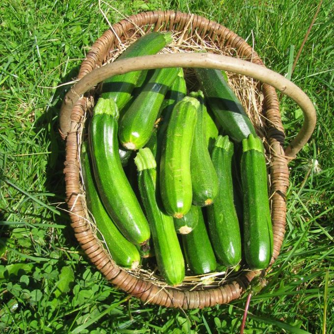 Courgettes