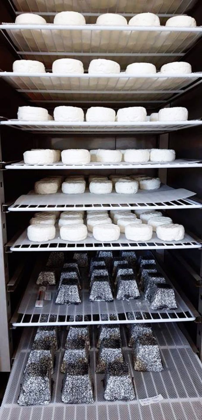 On fait vieillir le fromage de chèvre
