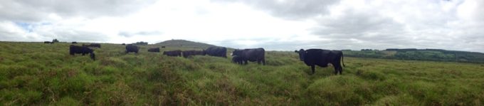 Un panoramique : un environnement idéal.