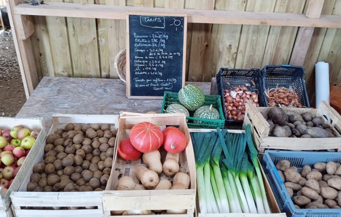 La Bocalerie d'ici - cageots de légumes