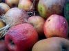 Pommes à cidre