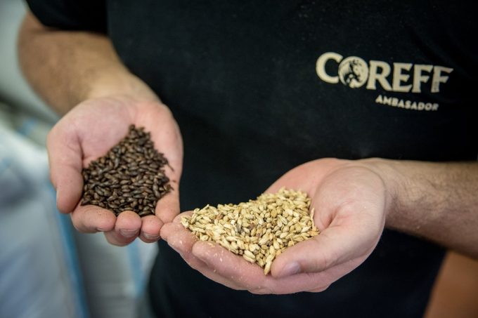 Brasserie Coreff malts d'orge et de blé