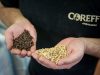 Brasserie Coreff malts d'orge et de blé