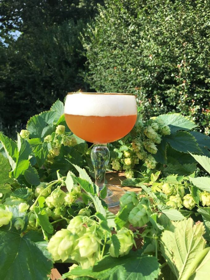 Brasserie de l&rsquo;Olifant
