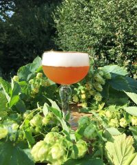 Brasserie de l&rsquo;Olifant